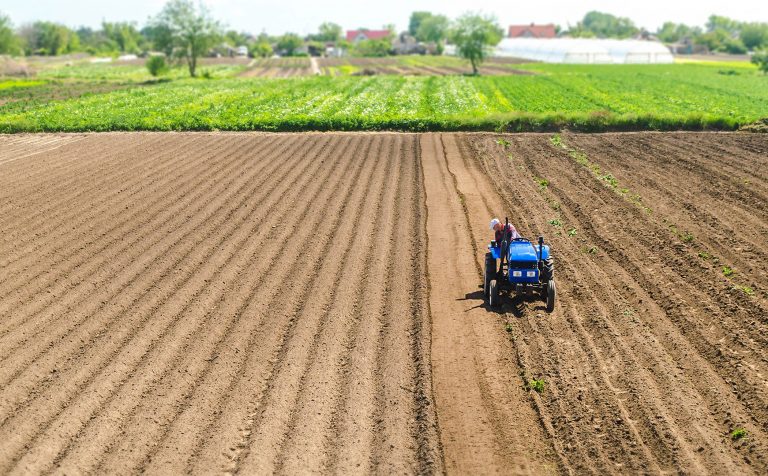 Plantação Agronegócio